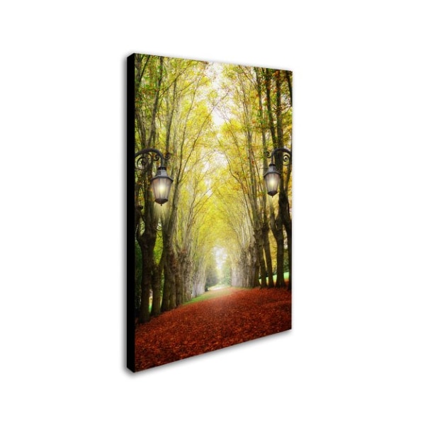 Philippe Sainte-Laudy 'Plane Tree Alley' Canvas Art,12x19